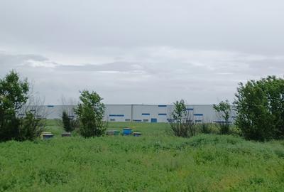 Teren de vanzare - 45.000 mp - Popesti-Leordeni, DN4 - 1