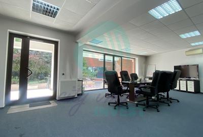 Spațiu de Birouri Modern, Cișmigiu - 1