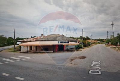 DE VANZARE CASA CU TEREN INTRAVILAN 2860 MP IN BALACI, TELEORMAN - 1