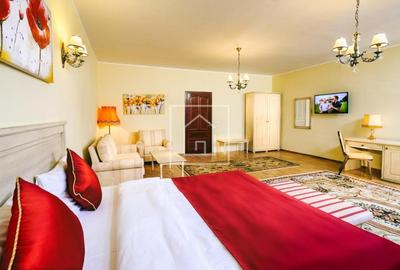 Hotel de inchiriat Piata Mica Sibiu | Afacere turistica activa - 19