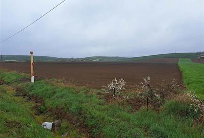 RECO teren Ghenetea 7800mp - 3