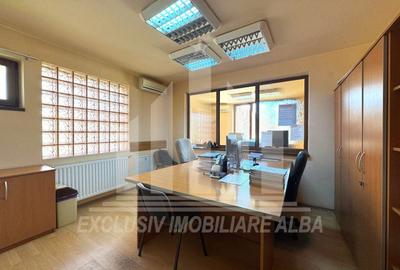 Spatiu de birouri | P + 2E | 254 mp | 10 camere | Parcare | Cetate - 8