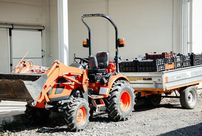BUSINESS DE VANZARE Plantatie de afin din Romania - 12