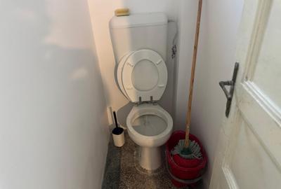 Vanzare apartament patru camere vila D+P+1+pod curte Cotroceni metrou Eroilor - 15