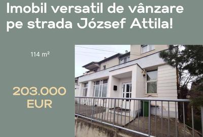 Imobil versatil de vânzare în Sfântu Gheorghe, pe strada József Attila! - 1