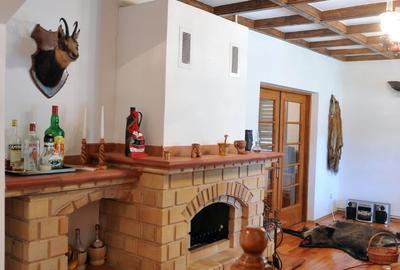 Vila de pe cărțile poștale - 19