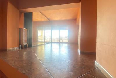 Bd. Unirii 5 camere Loft ! - 11