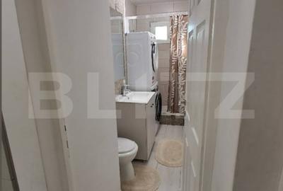 Apartament 2 camere, 42 mp, parter – zona Alexandru cel Bun - 8