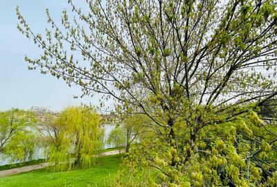 Apartament 2 camere imobil boutique-zona Tei- cu vedere la lac/parc - 19