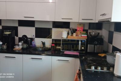 Duplex P+1+M teren 250mp Str Scolii - 25