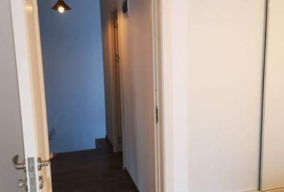 Vanzare/inchiriere duplex Trivale, mobilat, teren 300mp - 12
