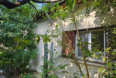 Bolintin Vale-casa 3 camere, toate utilitatile,teren 1000 mp, garaj, libera,acte - 11