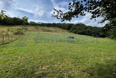 Teren agricol extravilan de 13500 mp, în Aștileu