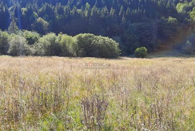 Teren Intravilan | Schitu Tarcău | 2089MP | Izvor | Platou - 15