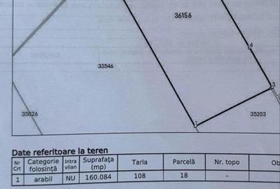 Teren Extravilan GIURGIU 16 Ha (la 50km de București) - 3