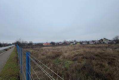 Vanzare Teren Intravilan 1800 mp Tiganasi Acces DJ Iasi-Botosani - 4
