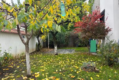 Spațiu pentru birouri in vila recent renovata cu arhitectura veche in Dorobanti - 14