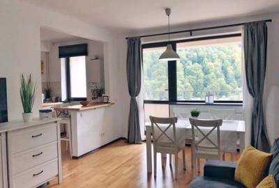 Apartamemt 2 camere cu vedere - 2