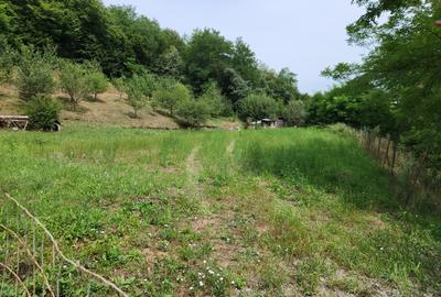 Teren Construcții de 2000 mp, în Florești