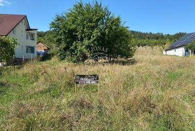 Teren intravilan 1300 mp-Viile cu Pomi-Unirea-Exclusiv - 3
