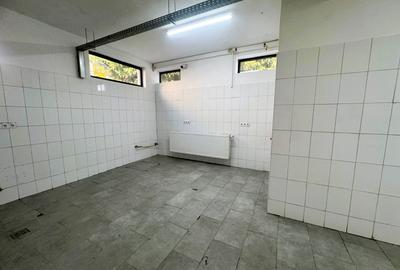 Spatiu cu alta destinatie Lipovei !!! - 9