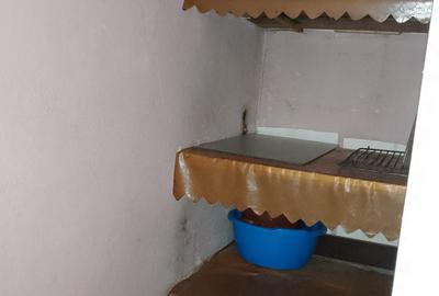 Apartament 2 camere decomandat Giurgiului - Toporasi - 10