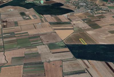 Teren agricol extravilan de 31200 mp, în Dascălu