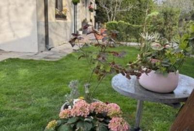 Oferte Inchirieri 2 Camere Giulesti - 1