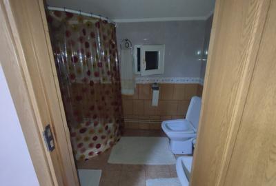 Sanadrei, Casa individuala, Suprafata teren generos, Garaj, terase si anexe - 16