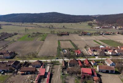 Loc de casă în Odvoș - Conop 3000mp - 16