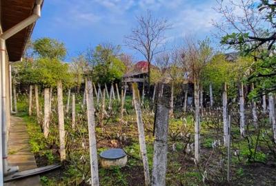 Casa cu teren 1400mp - 7