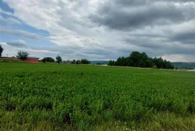 Teren intravilan de vanzare in Tg Trotus - 2
