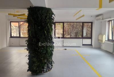Piata Unirii Vila - Casa Birouri  Serban Voda - Cantemir - 11