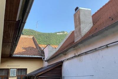 Garsoniera libera la vanzare zona Centrul Istoric - 10