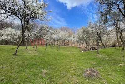 Teren intravilan în Mihăești