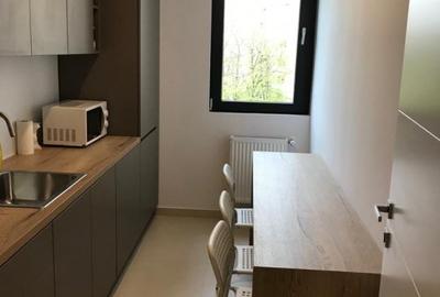 Birouri Titulescu 48- Piata Victoriei - 6