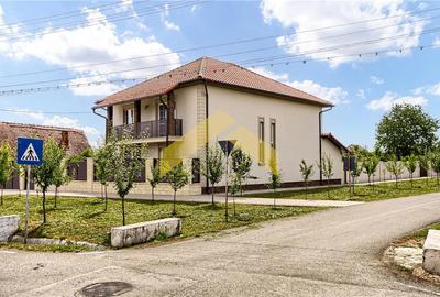 Casa noua de vanzare orasul Ineu - 20