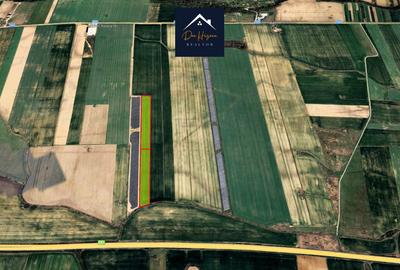 Oportunitate-Teren intravilan-5 ha-lângă Pitesti - Parc Fotovoltaic - 1