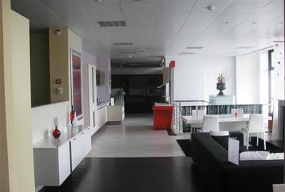 Spatiu pretabil showroom/birouri - mezanin- Bulevardul Unirii - 4
