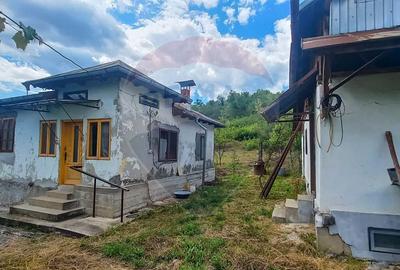 Teren Intravilan de vanzare 3551mp Poiana Copaceni Com Gura Vitioarei - 14