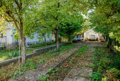 Oportunitate Exclusivă de Investiție în Câmpina Muscel Vila 12+ camere 750 mp - 8