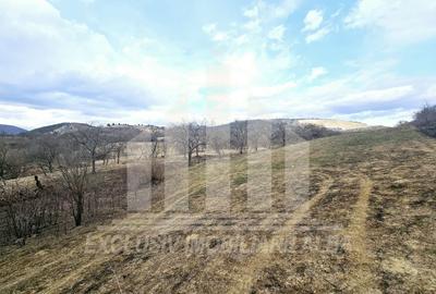 Teren intravilan | De vanzare | 12211 mp | Geogiu de Sus - 5