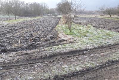 Vand casa curte si gradina in Branisca (la 15 Km de Municipiul Deva), - 4