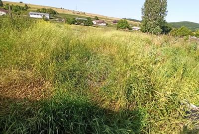 Casa 120 mp-teren 3400 mp-anexe-Sieut, la 30 km de Bistrita - 7