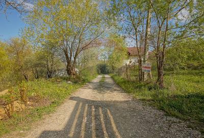 Teren intravilan 561 mp – Săcele, zona Turcheș (str. Morii) - 9