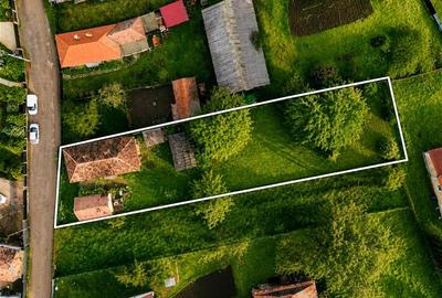 FILM! Gospodarie cu atmosfera traditionala,1.032 mp de verde si gradinarit, Sanz - 10