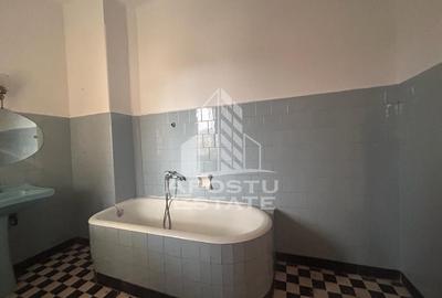 Casa individuala pe 2 nivele in Timisoara zona Balcescu - 10