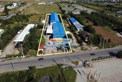 Vanzare 2 Hale 2515 mp + teren 6200 mp Magurele - 2