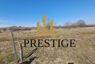 TEREN DE VÂNZARE 1000 MP ȘELIMBĂR ZONA TROIȚĂ | INVESTIȚIE - 2