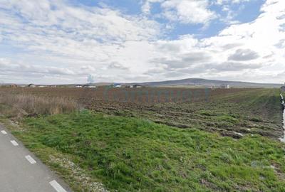 Teren intravilan de inchiriat in Cheriu , la 50 m de Inelul Metropolitan - 2